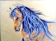 06 - Wendy Britton  - Wild Stallion - Coloured Pencil.JPG